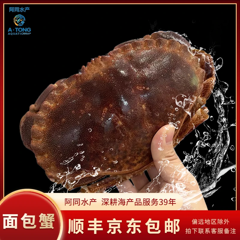 【阿同水产】缺氧面包蟹新鲜水产 直播间现称