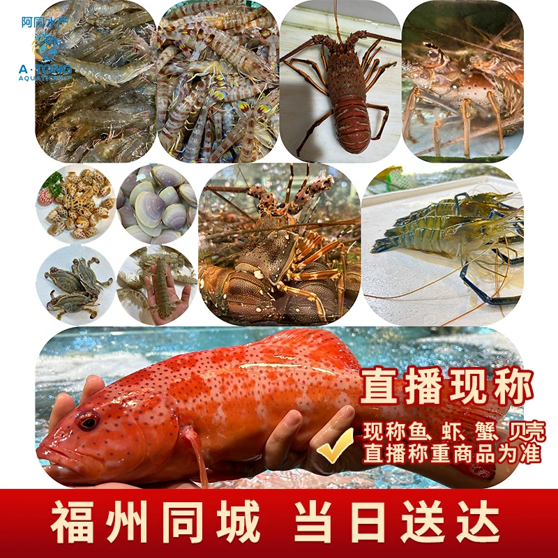 【保鲜不保活】10号鱼虾蟹直播间现称为准 1/1.5斤规格单只1两以上