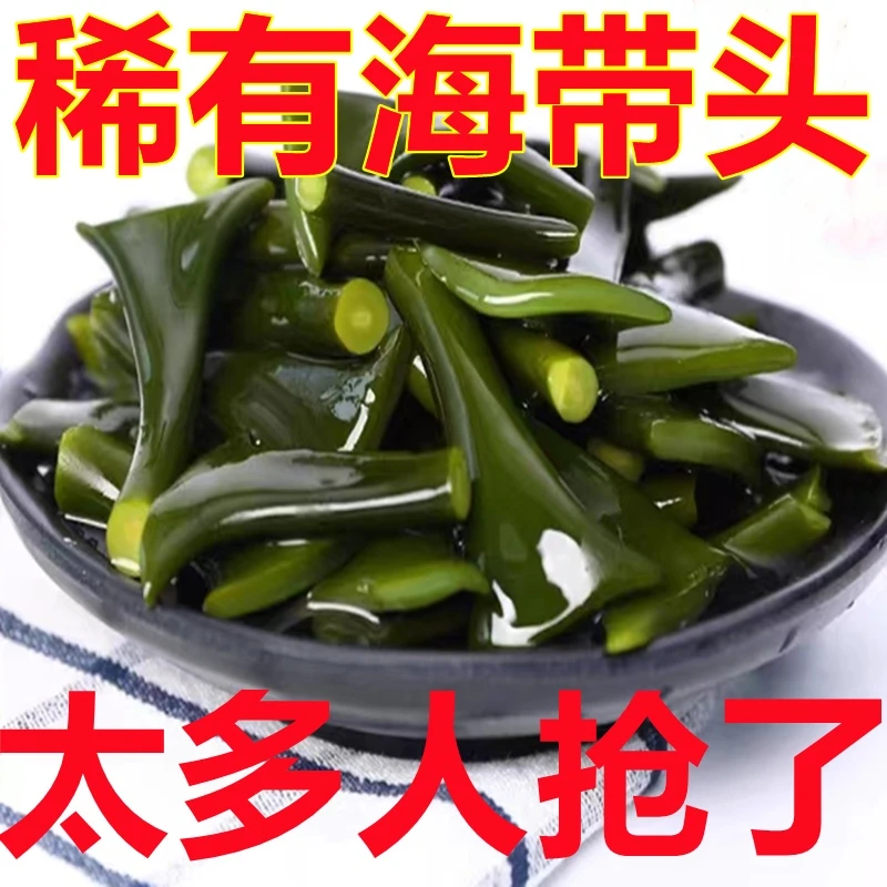 盐渍海带头新鲜精品特厚海带头海带根福建霞浦新鲜盐渍