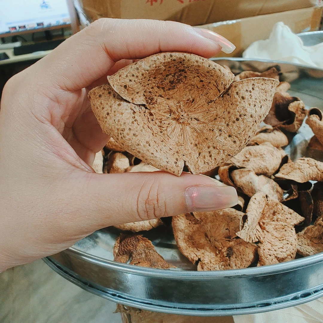 【春天的故事】1997年新会陈皮梅江老树二红折花卷花梅子香回甘凉