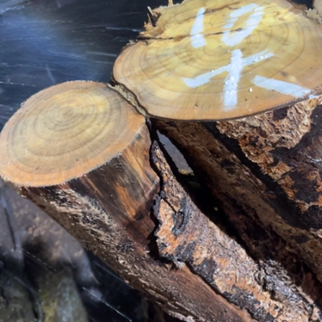 【闪购商品】木头扇子大*少