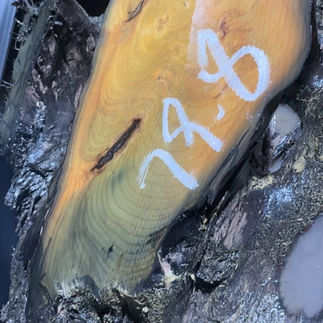 【闪购商品】金丝楠根雕用****3