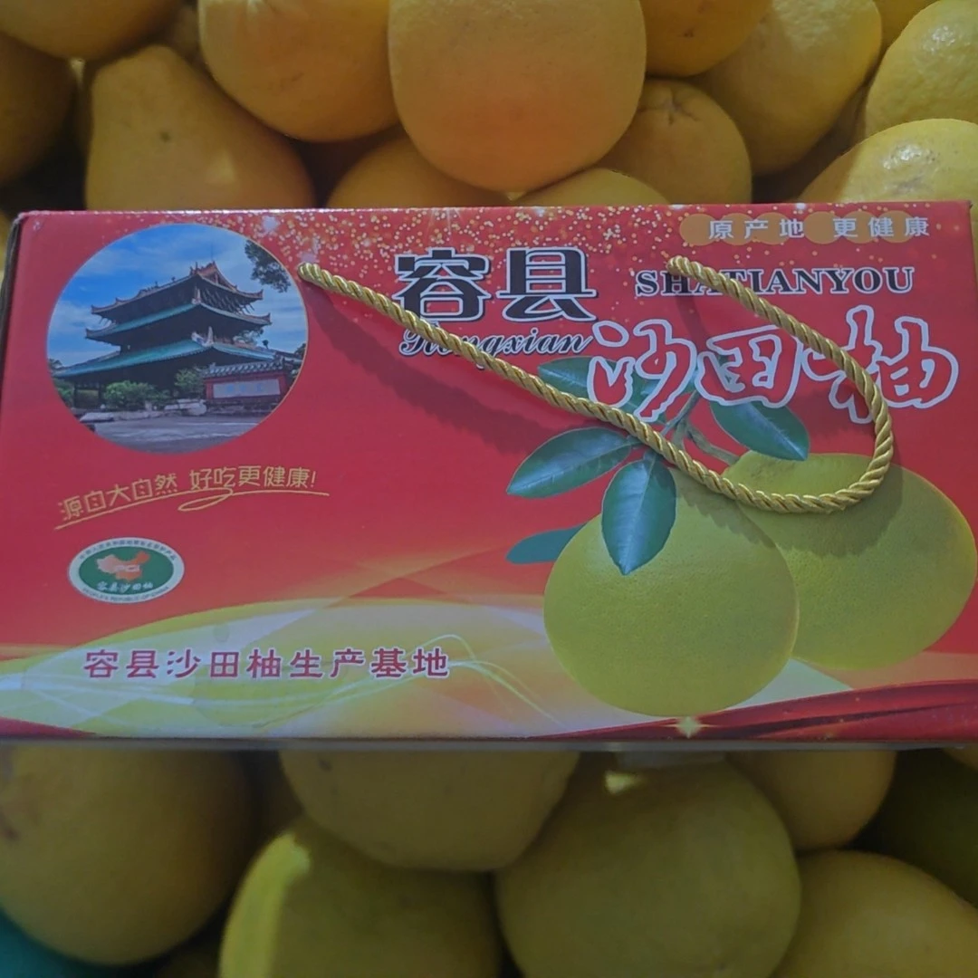中小果广西容县沙田柚纯甜无酸老树柚皮薄肉厚礼盒三个装净重5斤