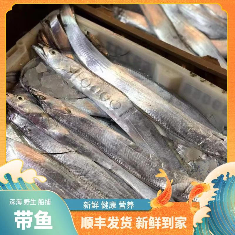 福建船捕【大带鱼】省内当天送达