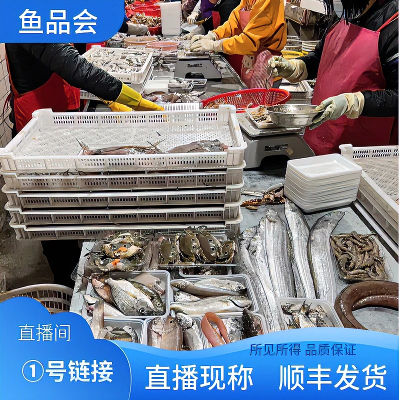 【①号链接】直播间海鲜螃蟹鱼虾500克顺丰发货新鲜到家
