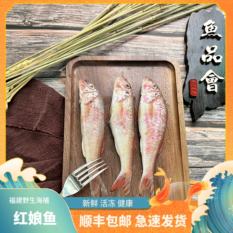 福建海捕【红娘鱼】顺丰当天冰鲜发货