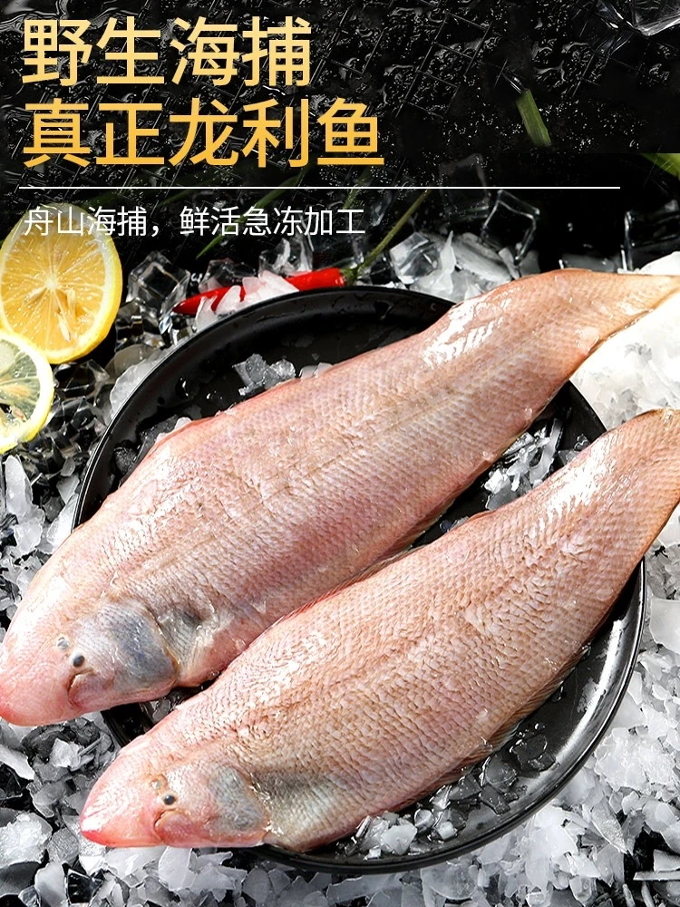 福建船捕【大龙利鱼】顺丰当天冰鲜发货