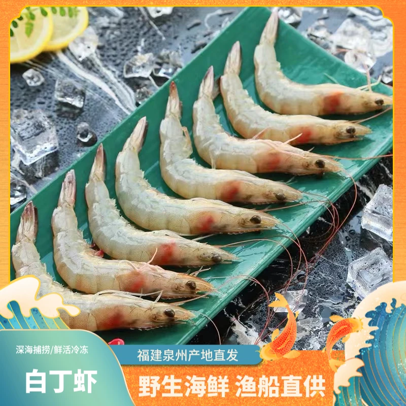 福建【大白丁虾】3斤压碎冰冰鲜发货