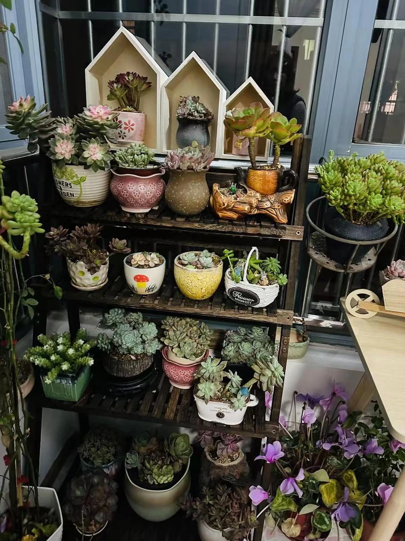 木质小房子造型摆件