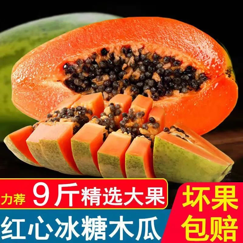 红心牛奶木瓜9斤新鲜树上熟应当季孕妇水果青木瓜整箱【青果发】