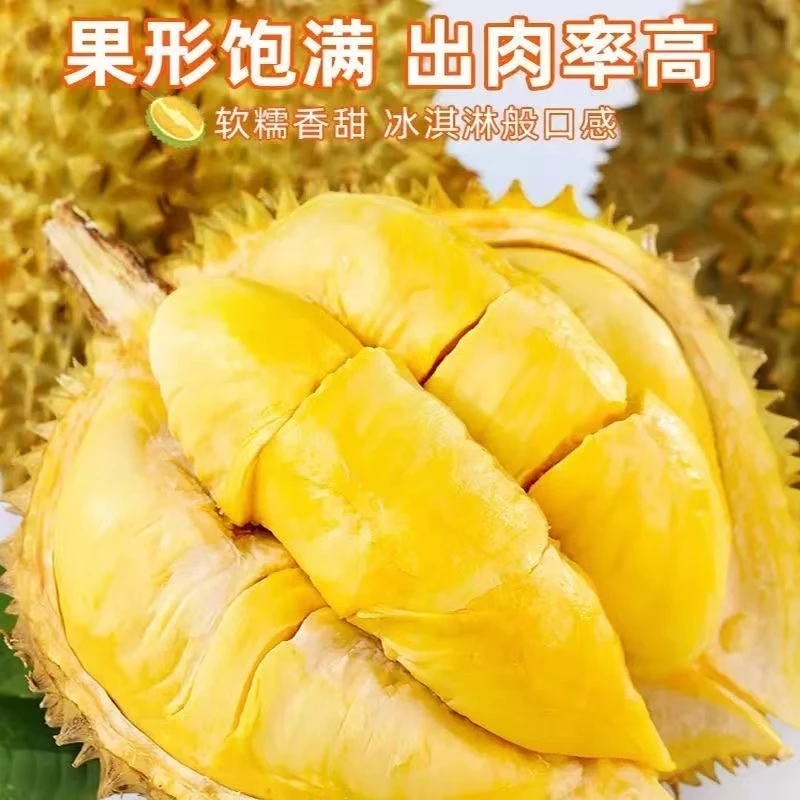 正宗泰国金枕榴莲进口新鲜水果巴掌果榴莲果肉2-10斤带壳整果包邮