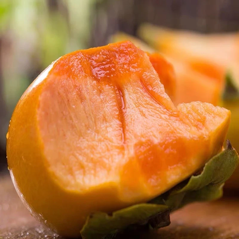 阳丰巧克力脆柿脆甜新鲜现摘产地直发4.5斤