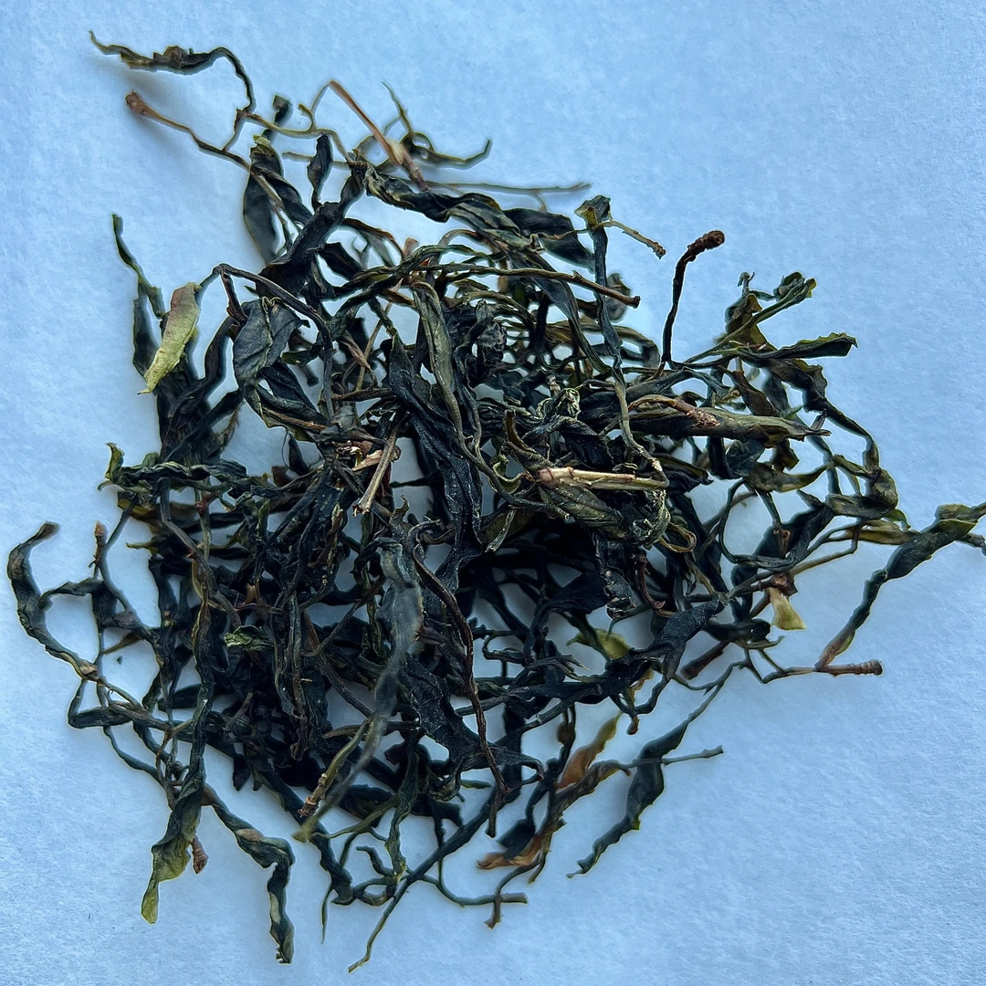 千家寨辣皮妈普洱茶2023年野生白茶100克散装非熟茶