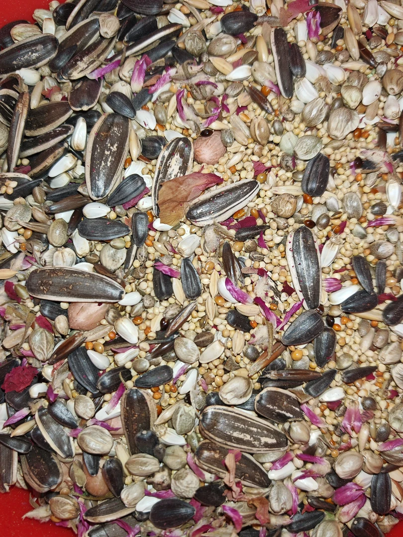 和尚小太金太专用粮精品杂粮高油脂