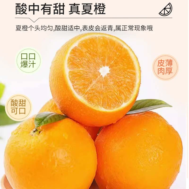 广西桂林高山夏橙新鲜脆嫩5斤9斤现摘应季水果香甜皮薄细腻鲜甜