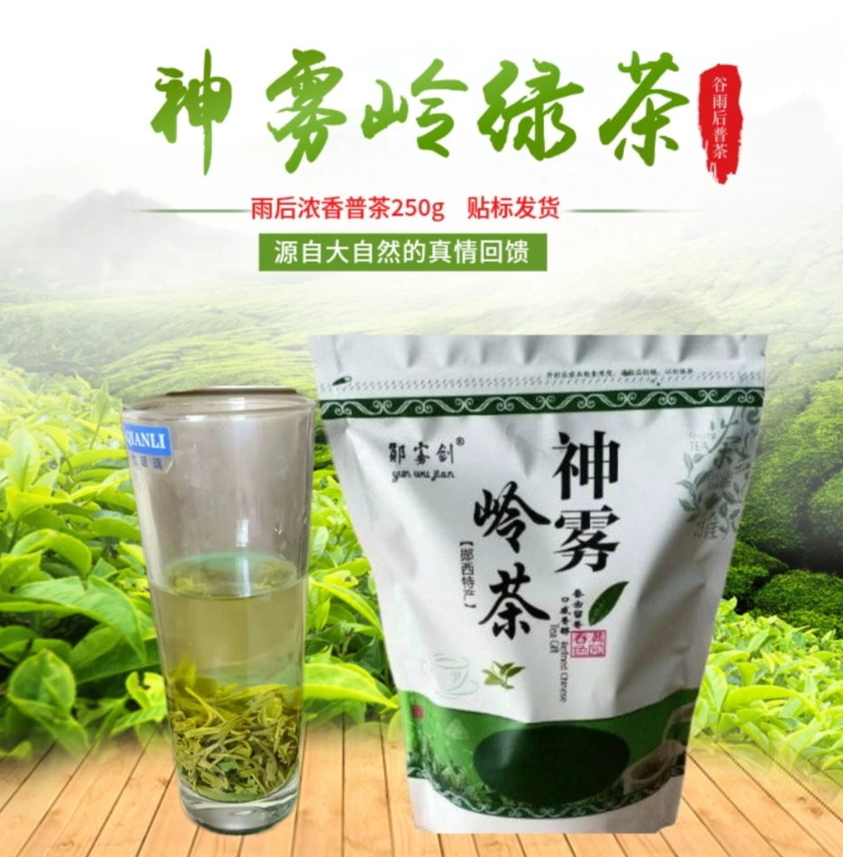 郧西县神雾岭2025谷雨后普茶浓香型荒野绿茶现装250g袋装厂家直销