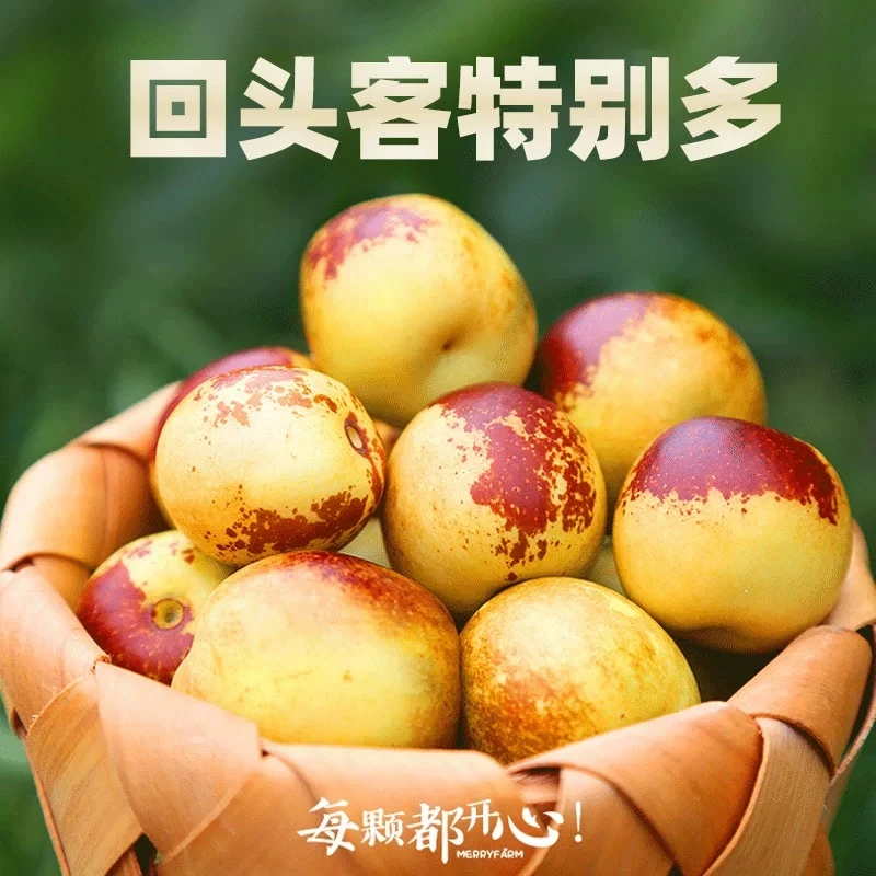 正宗陕西大荔冬枣新鲜大枣现摘应当季水果脆甜特产地直发整箱包邮