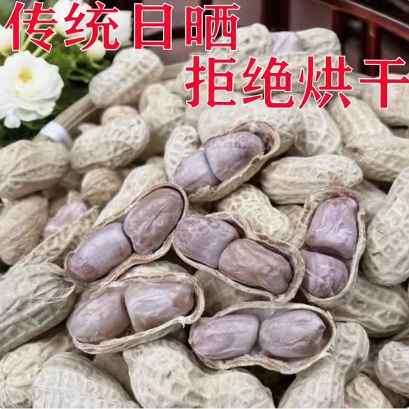 水煮七成干花生咸干日晒咸味广东农家原味带壳盐水花生2024年新鲜