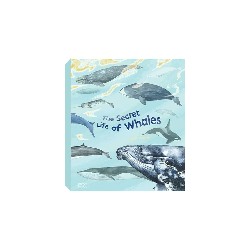筑桥The Secret Life Of Whales 鲸鱼的秘密生活 精装原版引进
