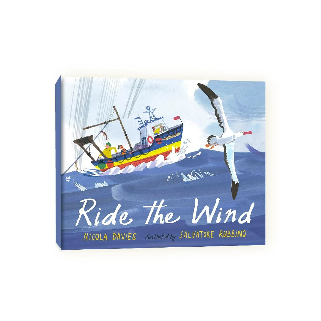 Ride the Wind 乘风飞翔 精装书原版引进