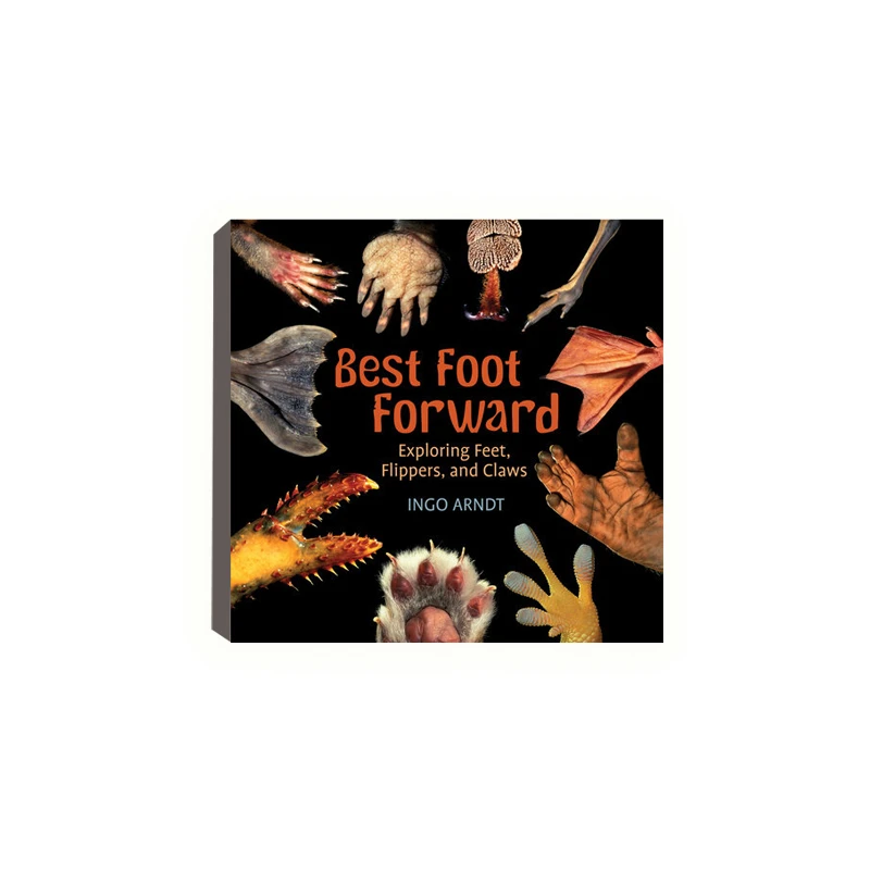 筑桥Best Foot Forward 最佳前锋 平装原版引进