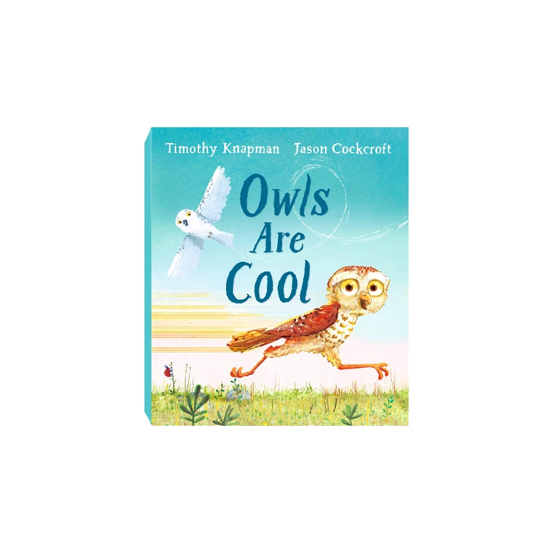 筑桥Owls Are Cool 猫头鹰很酷 精装原版引进