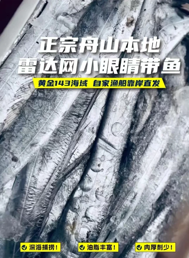 舟山特产海鲜 鲜带鱼 刀鱼 当季鲜货 肉质鲜嫩 6-7两/条 新鲜深海