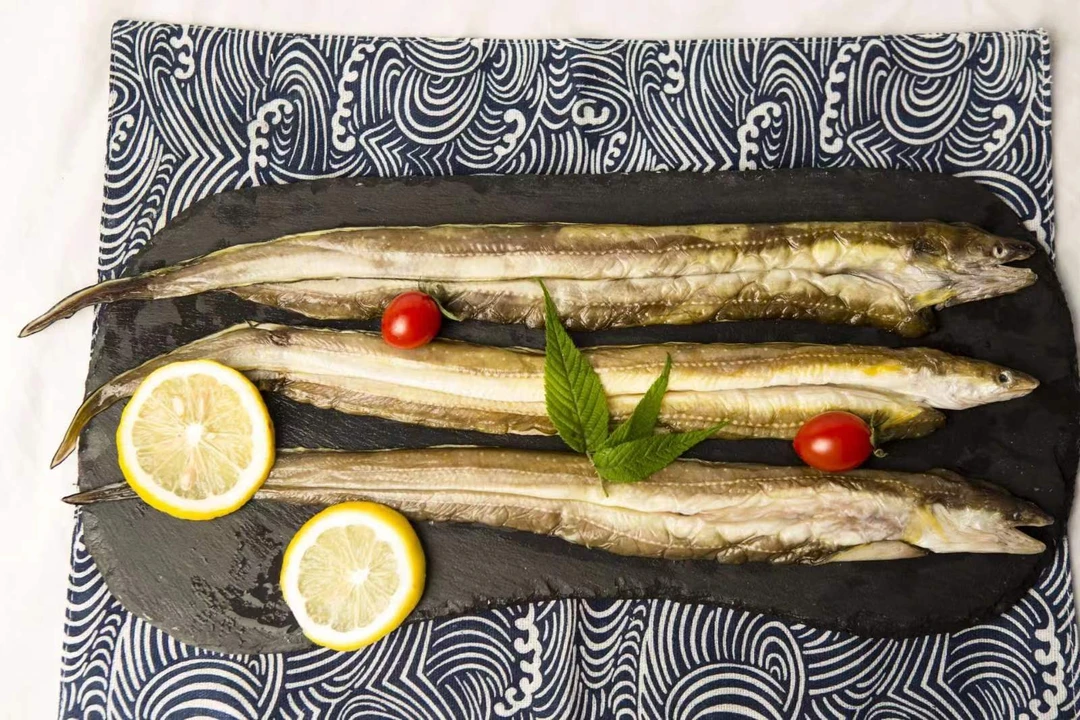 实惠版 单条3-5两现场舟山 沙鳗干、七星鳗干现称