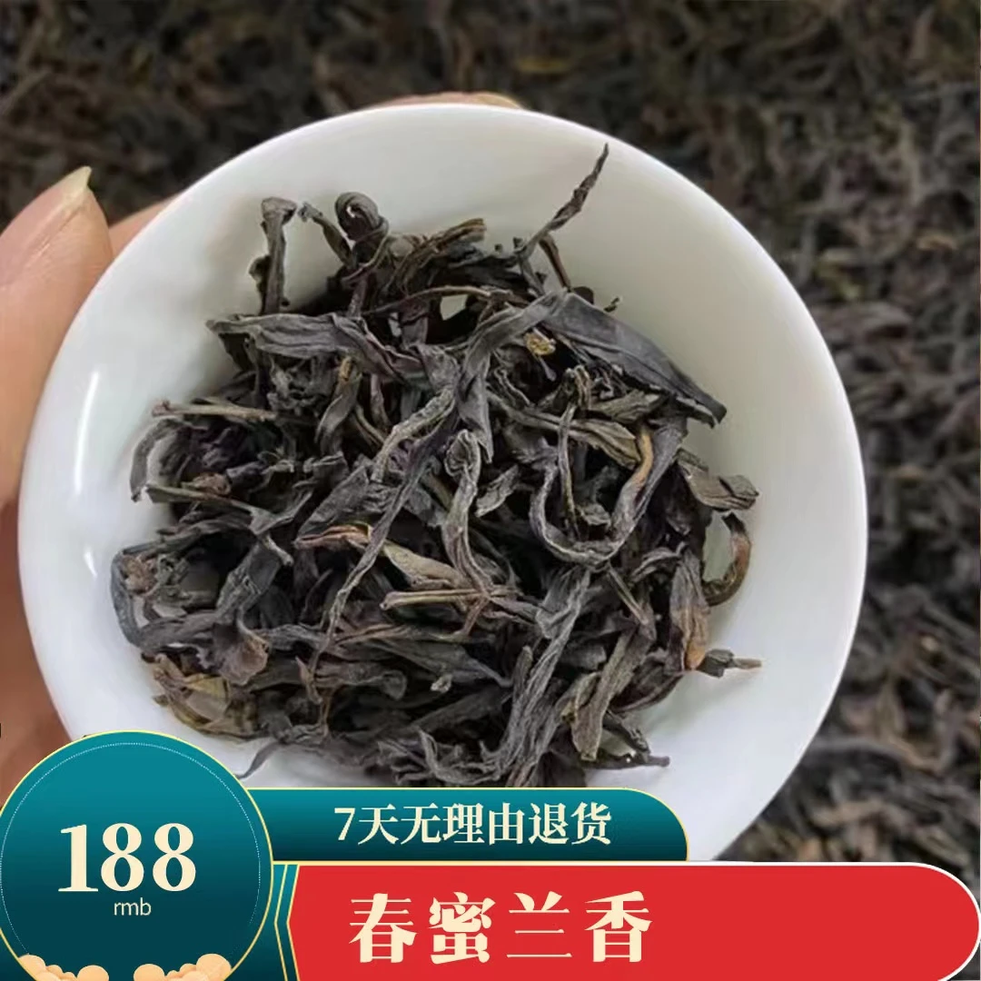 2023 头春蜜兰香 番薯味 蜜味 山韵味 100克 罐装春季 清醇