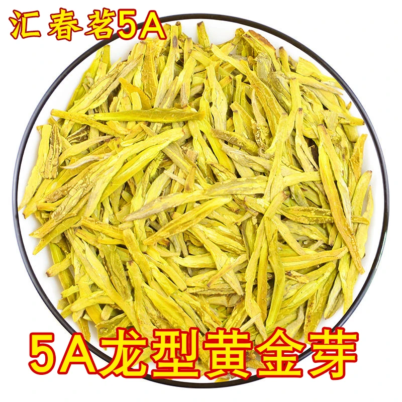 2025新茶头采黄金芽【5A龙型】豆香花香春茶绿茶茶叶罐装