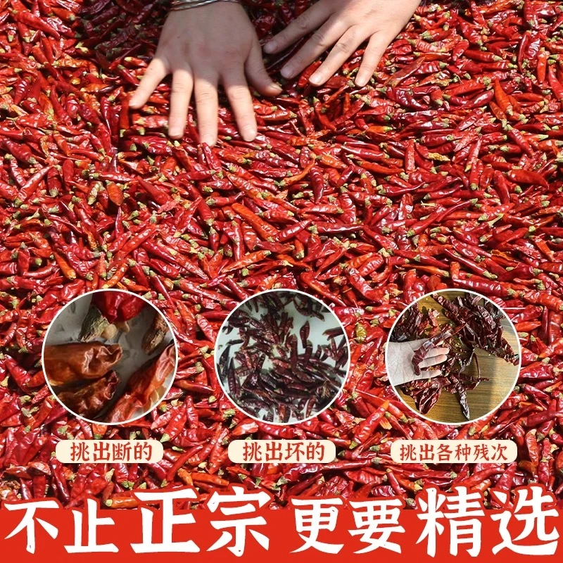 中国辣椒之都柘城 香！辣！朝天椒堪比小米椒重辣香辣天然特产辣椒