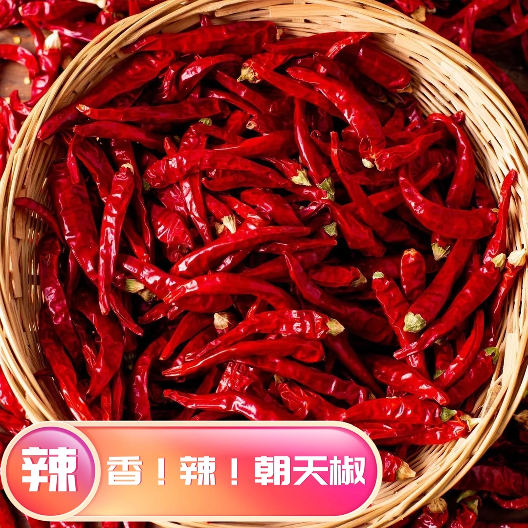 中国 辣椒之都251g香辣干辣椒 堪比小米椒重辣香辣天然特产干辣椒