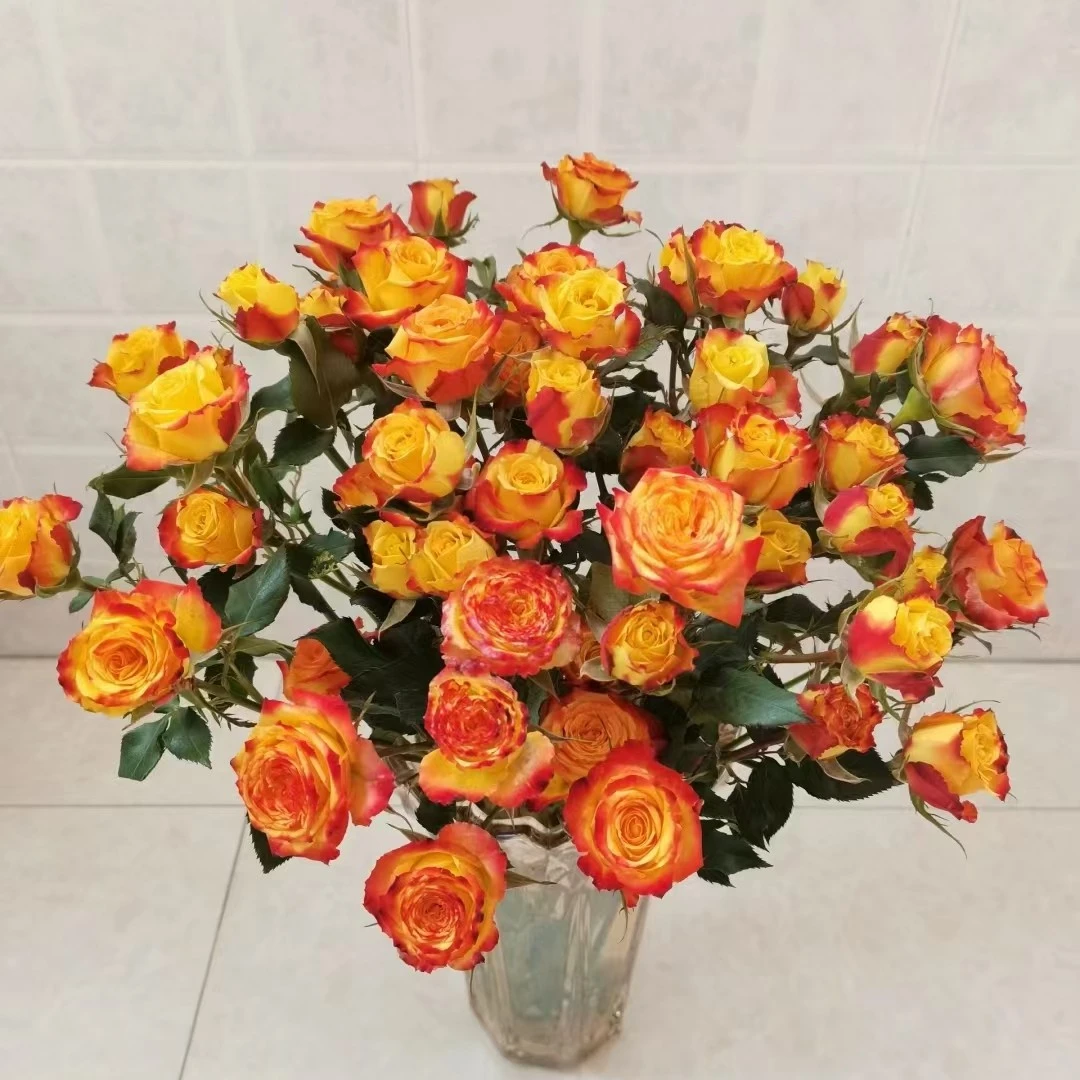 【沈阳桑野】眼线多头玫瑰 同城配送 最快1-3小时送达