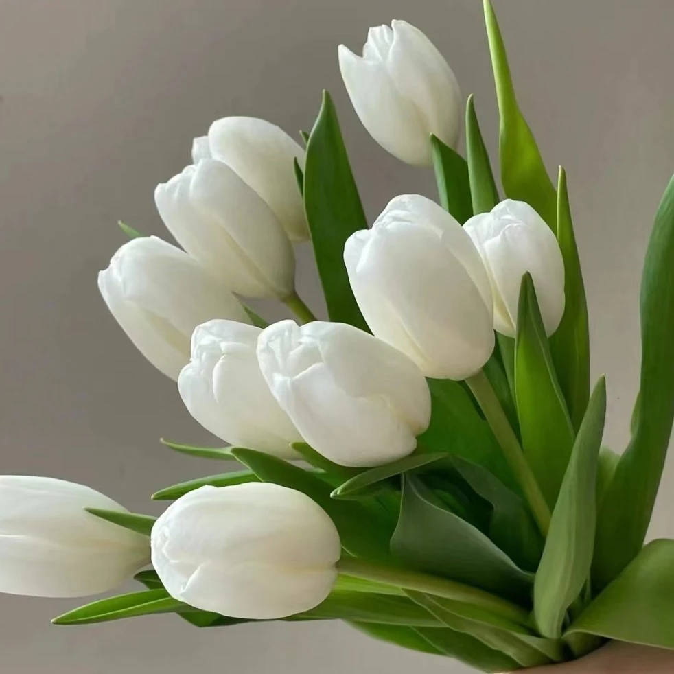 【沈阳桑野】白色郁金香 同城配送 最快1-3小时送达