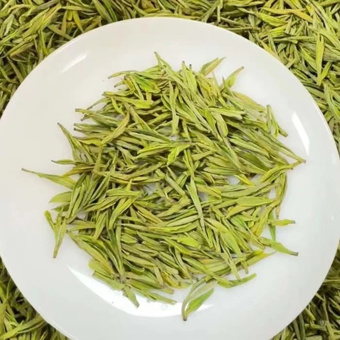 明前头采奶白茶原产地茶叶