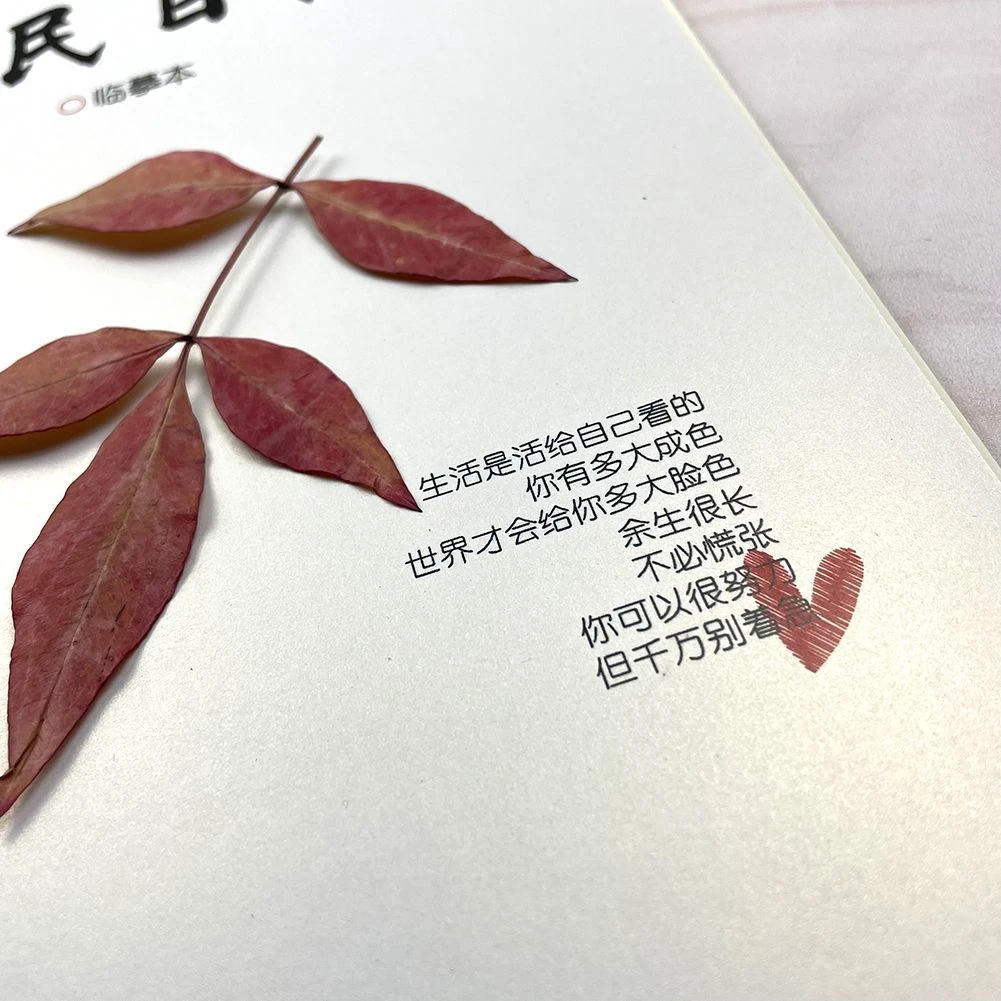 人民日报金句摘抄高考作文素材公务员鲸落体奶酪体楷体学生字帖