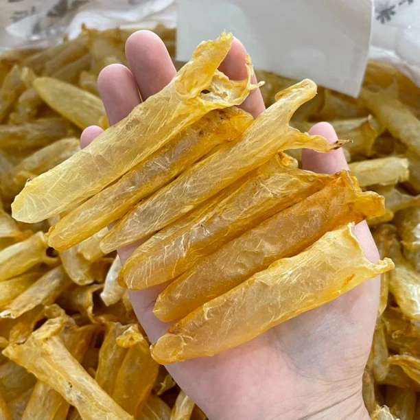 200头左右黄花胶筒，天然晒干鱼胶干货滋补品