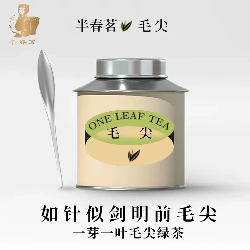 半春茗毛尖绿茶2025新茶头采绿茶茶叶浓香嫩芽毛尖春茶小罐自己喝