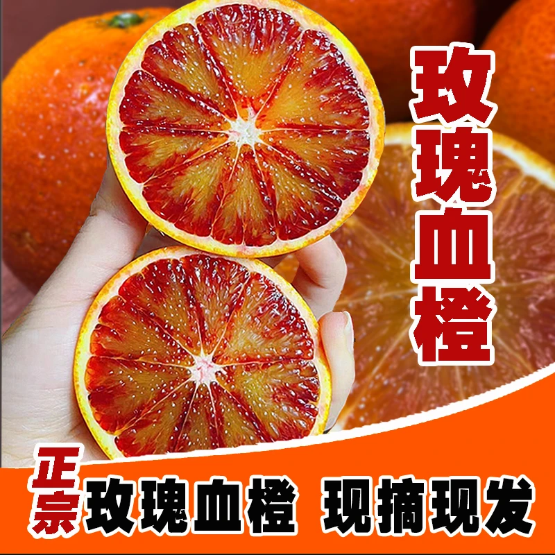 【当季水果】正宗四川高山玫瑰血橙5/9斤新鲜采摘红血橙水果