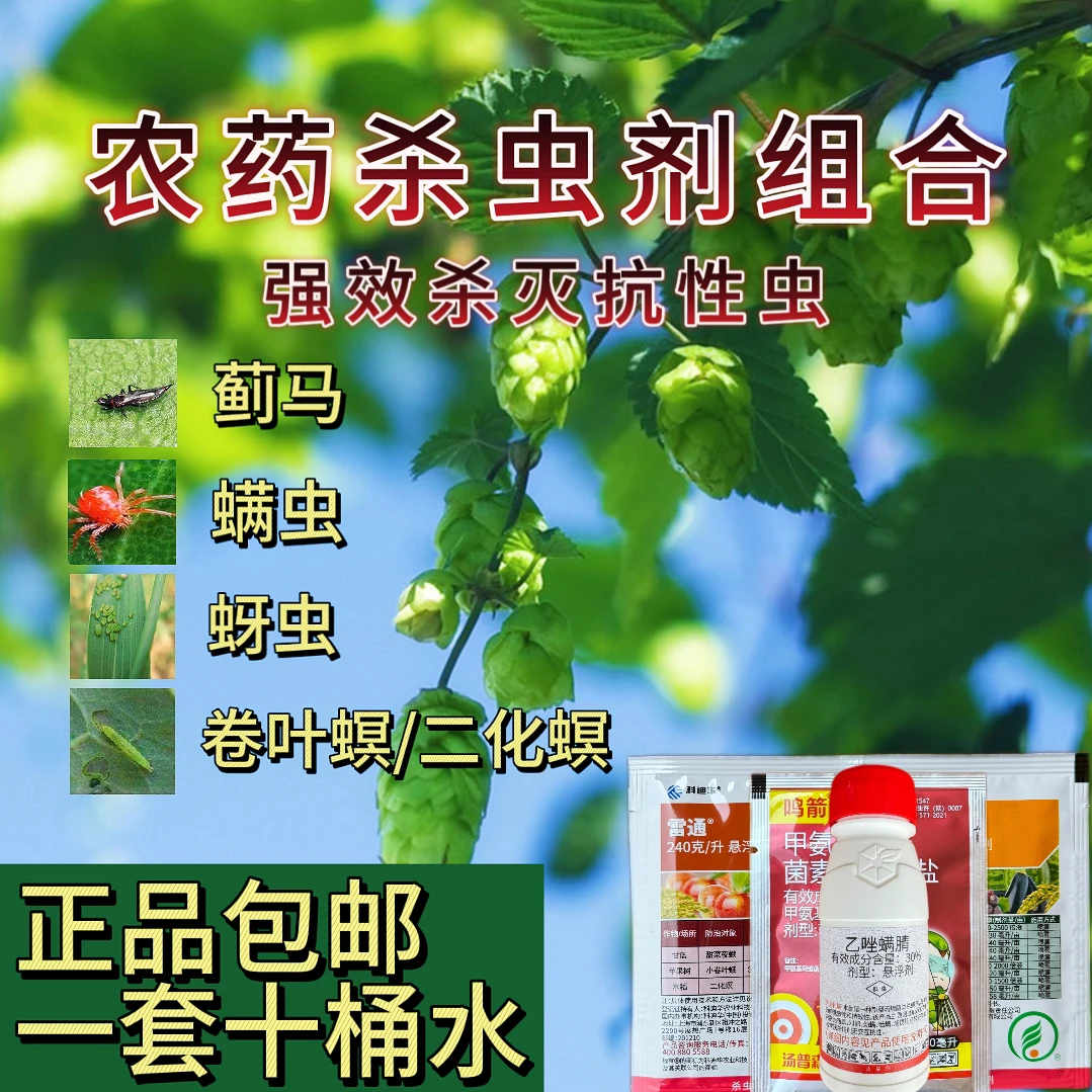 正品抗性杀虫剂组合方螨虫红蜘蛛甜菜夜蛾蓟马卷叶螟青虫强效防治