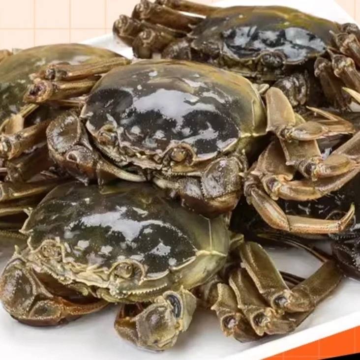 膏锦泓3.5两母蟹3.3-3.7两10只装