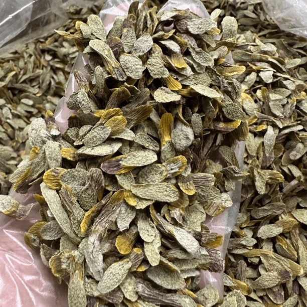 正宗铁皮石斛片 胶质满满 100-500克包邮