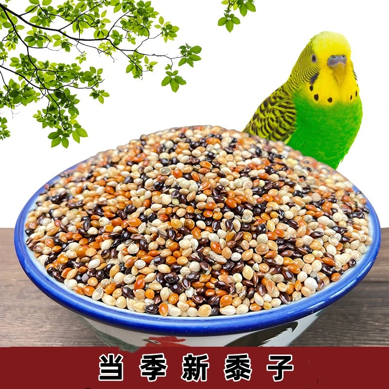 五色黍子鸟粮中小型鹦鹉鸟食饲料虎皮牡丹玄凤文鸟粮玉鸟一件五斤