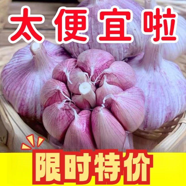 2023山东金乡紫皮大蒜干蒜头蒜苗农家自种腊八蒜泡蒜1/3/5斤大果