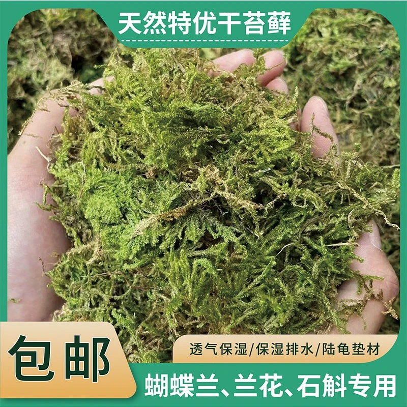 干苔藓水苔纯天然多肉盆栽嫁接组合景观保湿