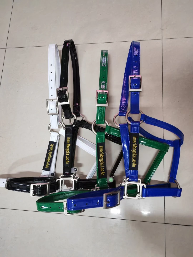 漆皮马龙套骑马用钱马龙头