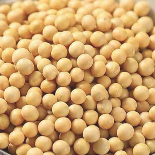 东北黄豆（高蛋白黄豆）5斤