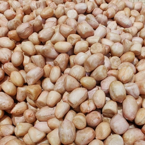 2024年  花生3斤/5斤