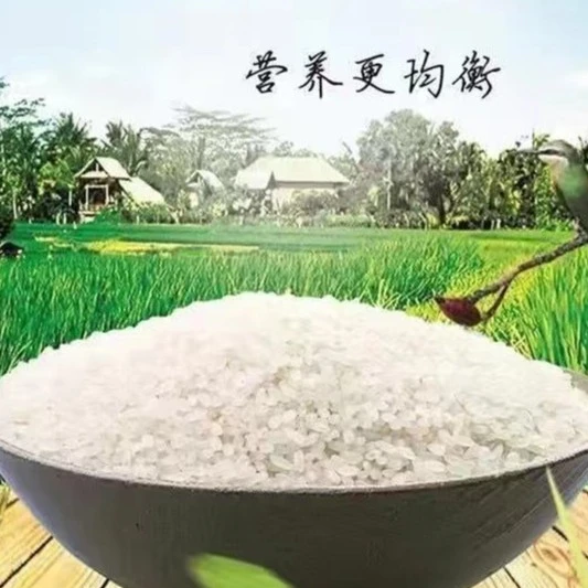 香磨山禅耕米5kg