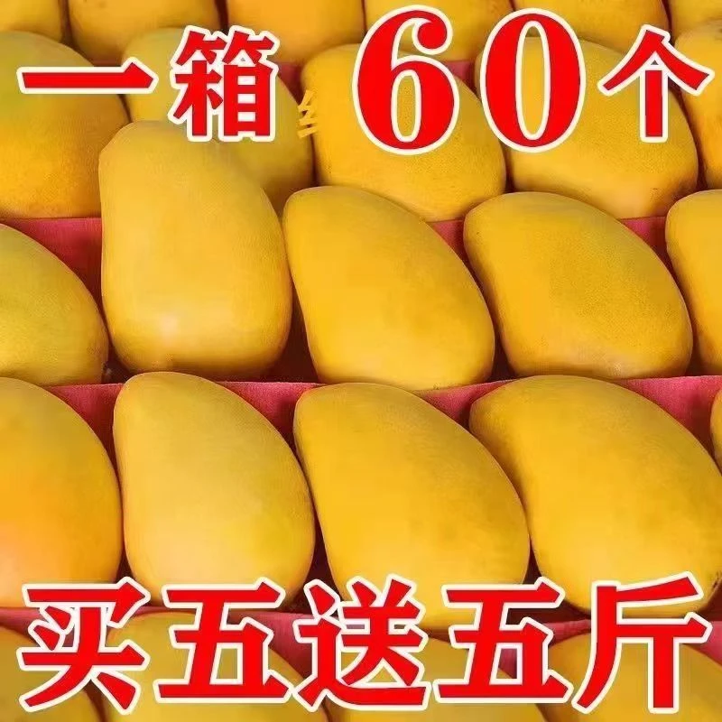 【爆甜】正宗海南小台农台芒芒果当季水果成熟1/10斤非贵妃芒包邮